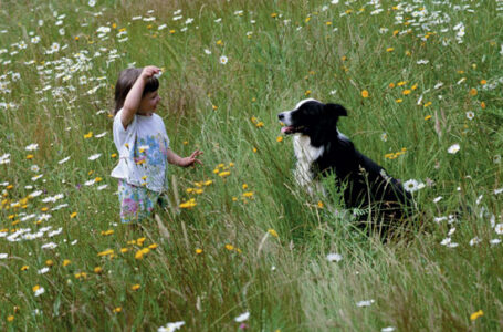 Kids' Allergies: Natural Cures for Common Symptoms Image